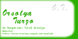 orsolya turzo business card